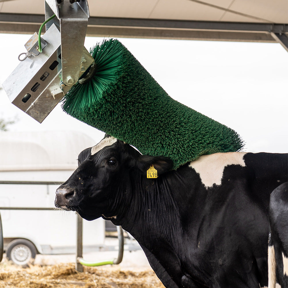 Pendulum Cow Brush