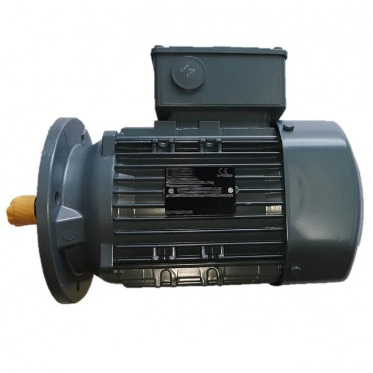 Replacement 0.55kw Motor c/w Pinion - Cowcare Systems