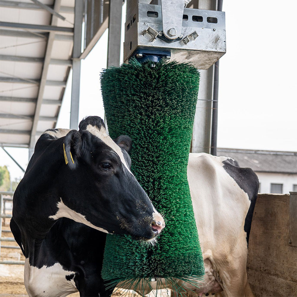 Pendulum Cow Brush