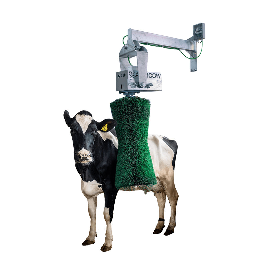 Pendulum Cow Brush
